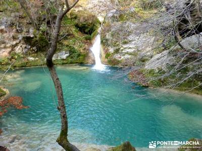 Parques Naturales Urbasa-Andía y Aralar - Nacedero del Urederra; senderismo y excursiones